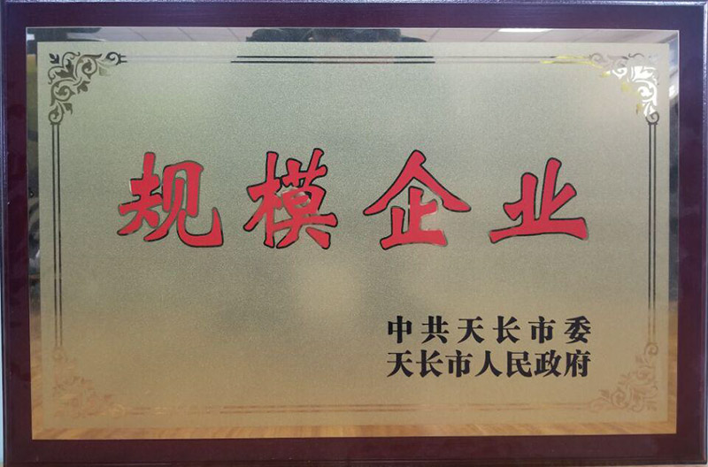 規(guī)模企業(yè)